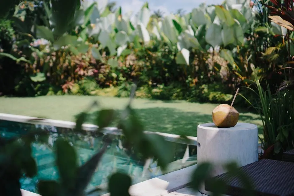 Villa Rae - 2Bdr Luxe Villa Ubud